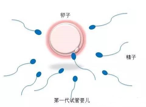 周医生